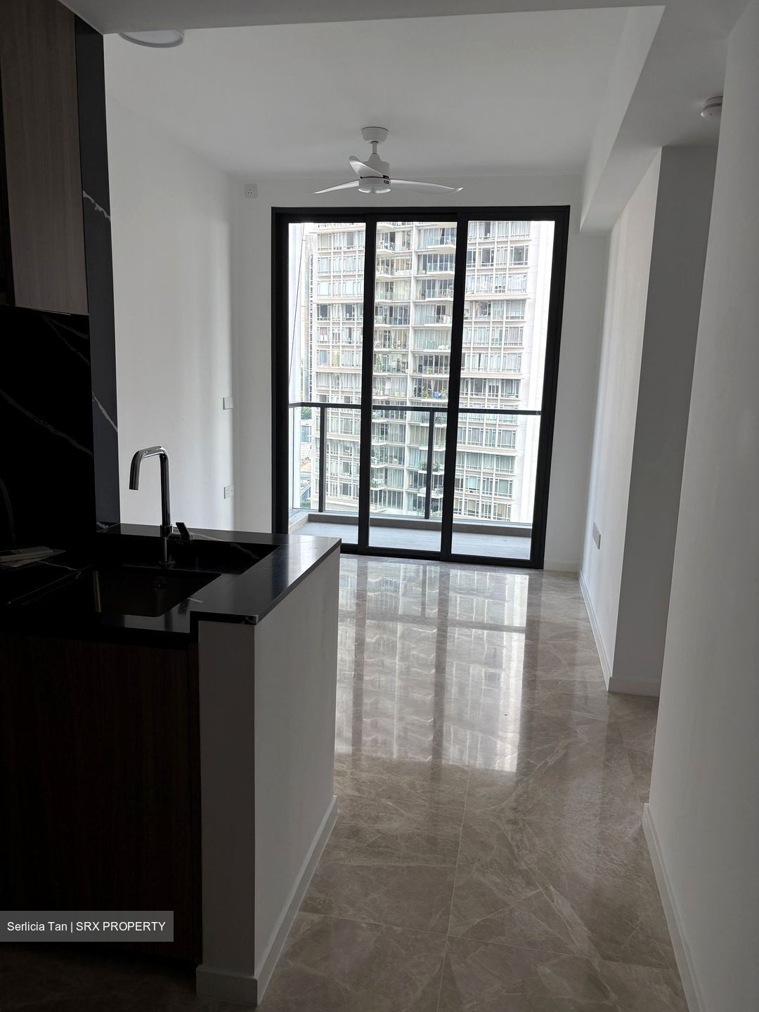 Irwell Hill Residences (D9), Apartment #452637781